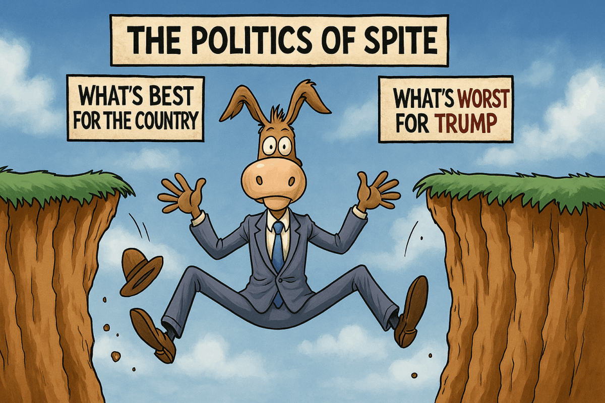 THE POLITICS OF SPITE