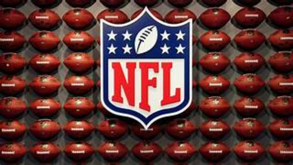 NFL – THE NATIONAL FAT-CATS LEAGUE
